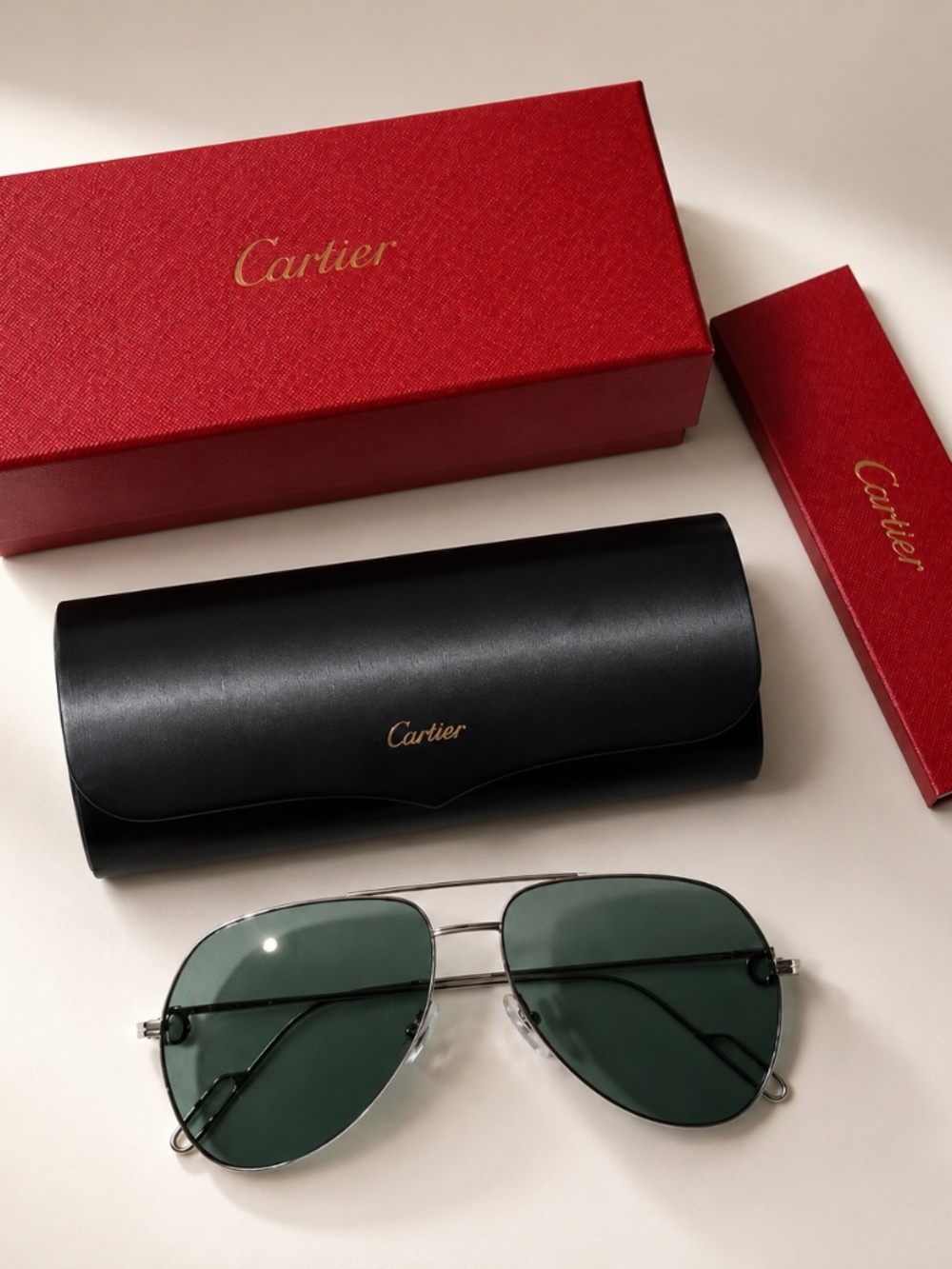 Cartier CT0110S 004 Aviator Sunglasses New Full Set Made in France